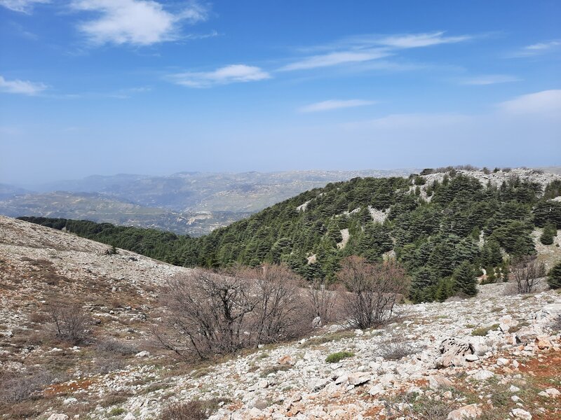 Looking back at the trail from the dirt road.