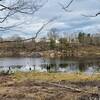 Two beaver lodges in Spectacle Lake.