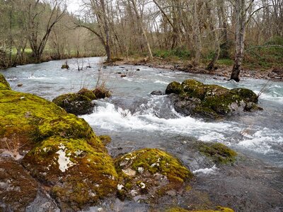 Elk Creek in the spring during high water.