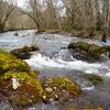 Elk Creek in the spring during high water.