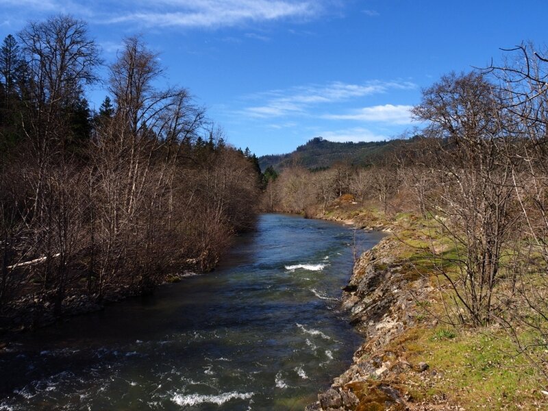 Elk Creek just downstream of the swimming spot.