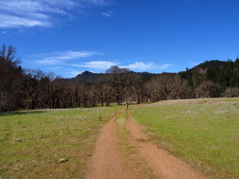 Along the dirt road that goes out the swimming hole on Elk Creek.