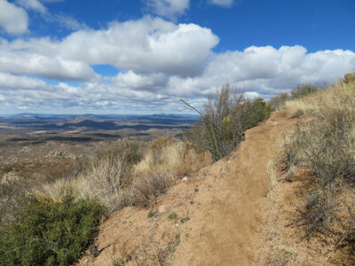 Looking north on the northwest part of the loop. This is typical of most of the trail. There are some rocky areas but not many.