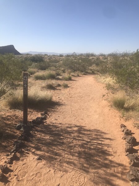 Right hand turn off Johnson's Arch Trail.