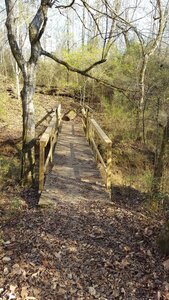 Creek Bridge