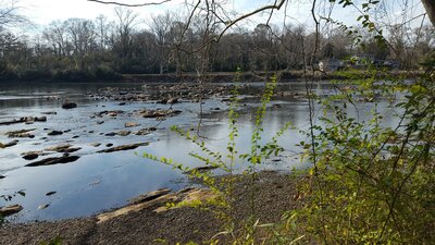 Chattahoochee River along the trail.