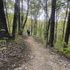 Heading north from the Golden Pond trailhead entrance on the Golden Pond trailhead entrance of the North/South Trail. Girl Scout Troop 845 Cadettes are posting updated pictures of their hike to help those interested in viewing the trail.