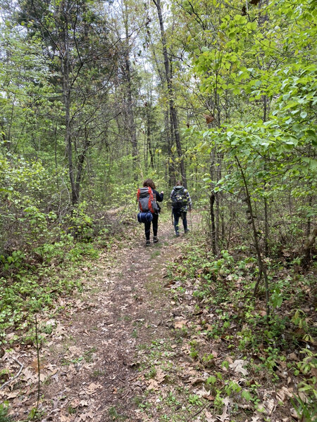 Walking through a flatter area of the North/South Trail heading North. Girl scout troop 845 Cadettes want to share images of their hike to help people who are interested in trekking this wonderful trail.