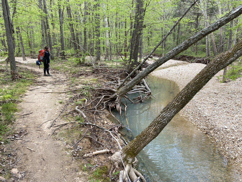 One of our Cadettes looking at a natural spring along the North/South Trail. Girl Scout troop 845 are posting pictures to keep updated pictures of the trail for those interested.