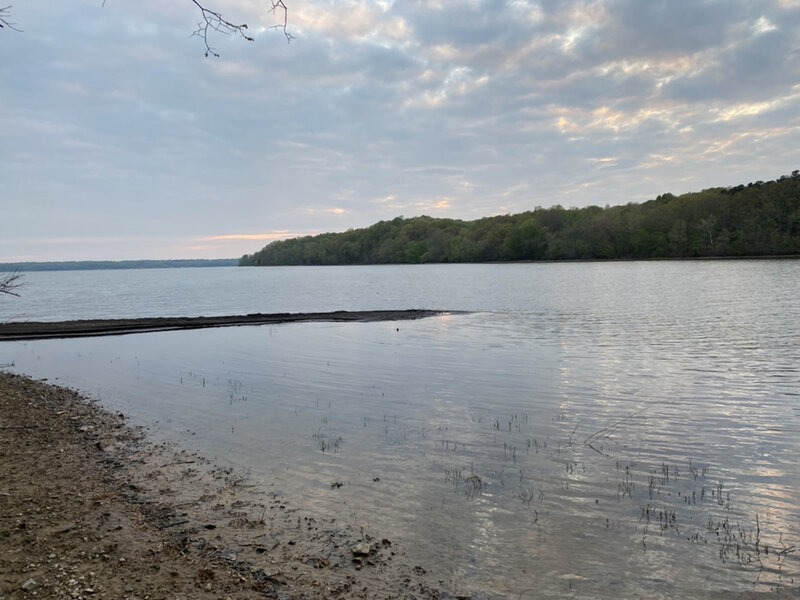 This is a view of Vickers Bay from the North/South Trail heading North. The Cadettes of Girl Scout Troop 845 took pictures of the trail to help those interested in making this trek.