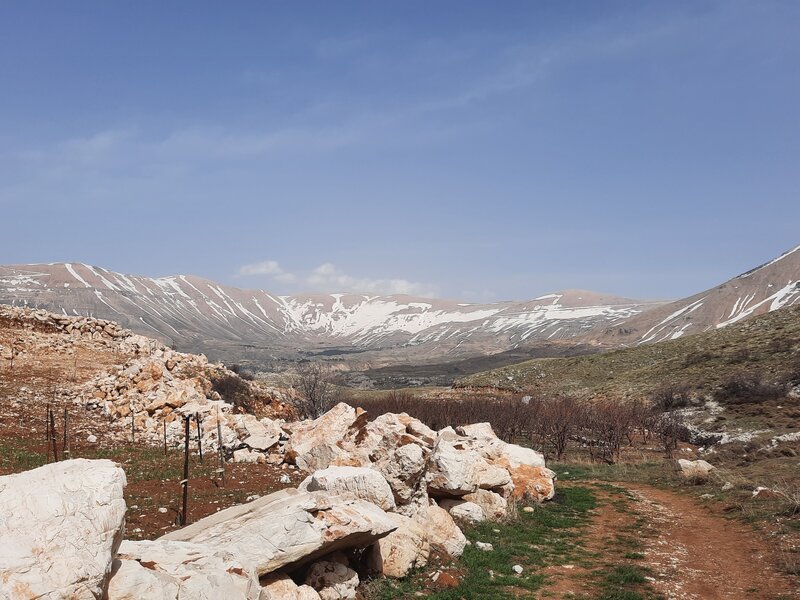 A view of Arz