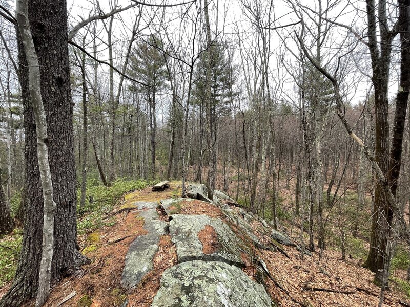 Whaleback Overlook