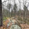 Whaleback Overlook