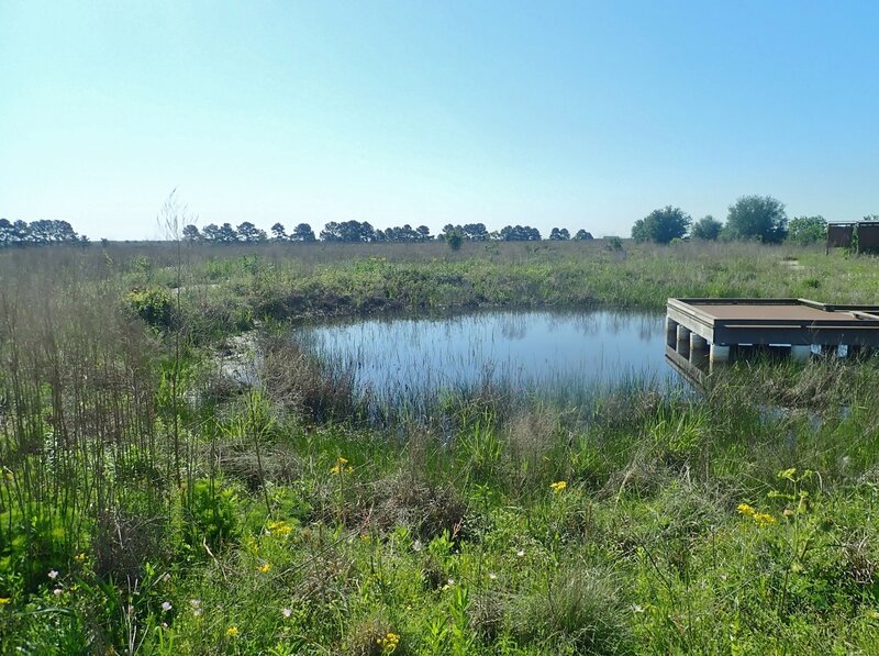 Pond near trailhead