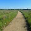 Well-groomed trails of crushed granite, which crunch underfoot.