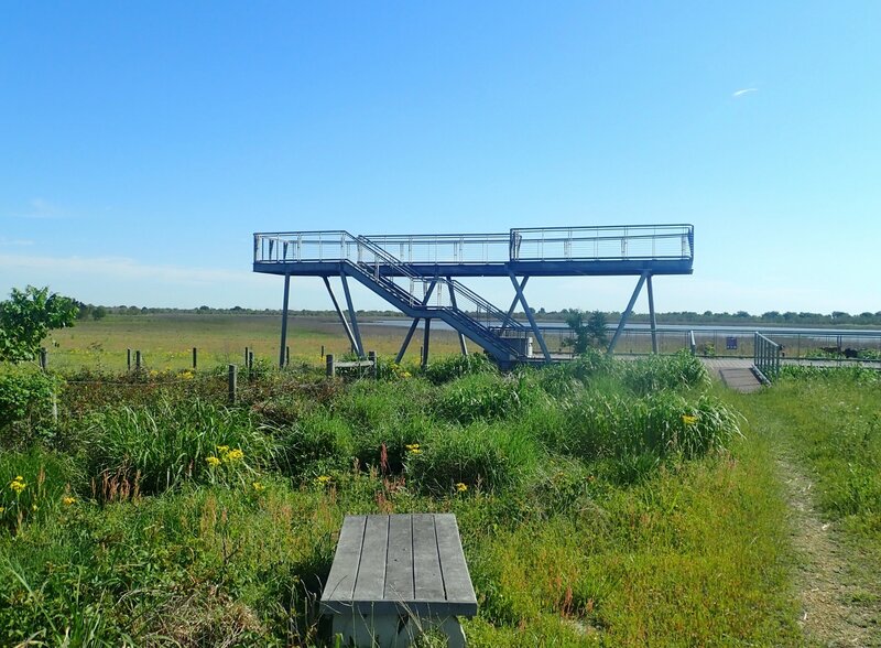 Wildlife viewing platform.