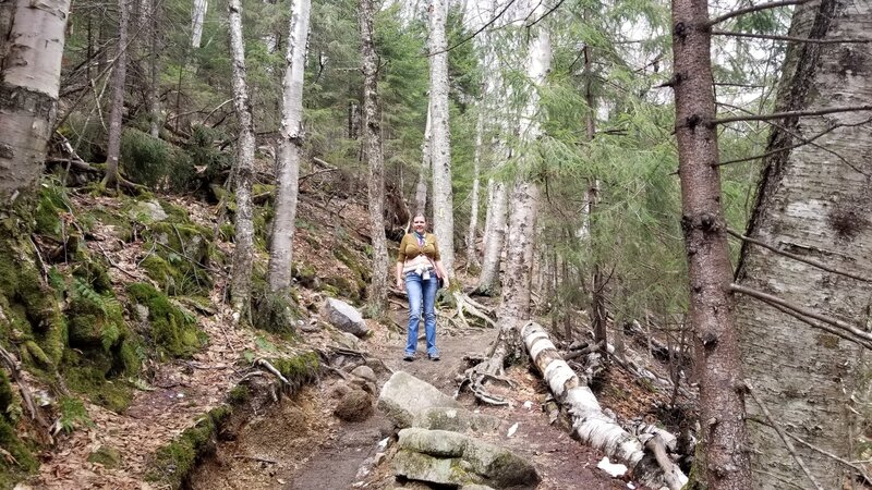 Mid size rocks and roots to navigate. A bit hot in the sun in this section. Became ice then snow higher up the trail. April 19,2021