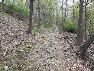 Blue Trail