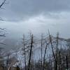 View from the saddle at the top of Meriwether Canyon. Some snow drifts present at the end of April.