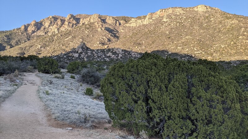 Near the trailhead