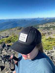 So many bugs! On ridge before summit of Stoyoma Mountain.