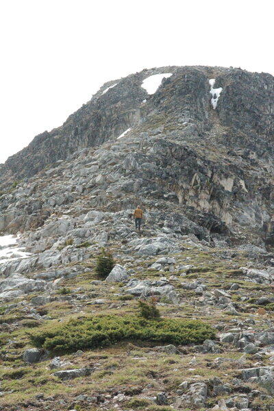 On the ridge from Blowdown Pass up to Gotcha Peak.