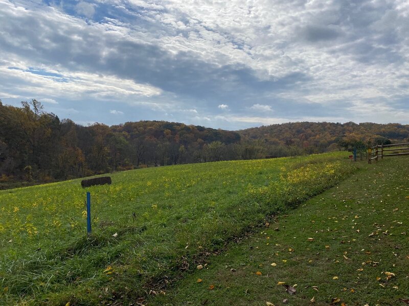 Trail leading to Miller Road parking lot.