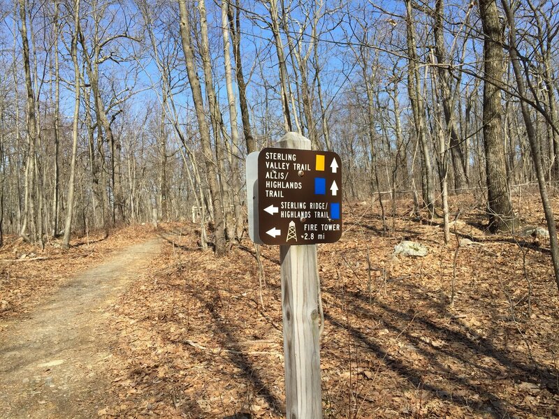 Yellow trail/Blue trail intersection