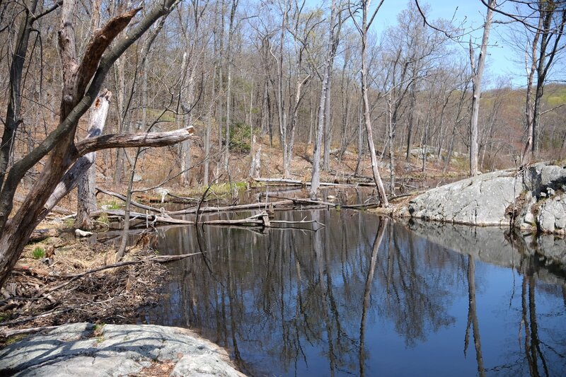 Red Trail - lake view