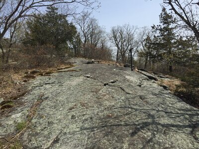 Rocky top - White Trail