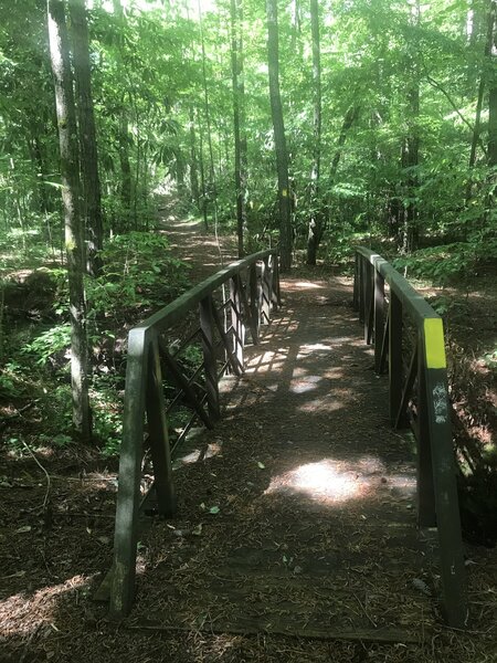 Bridge over creek on the yellow loop.