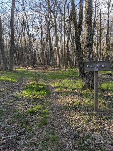 White dot trail sign