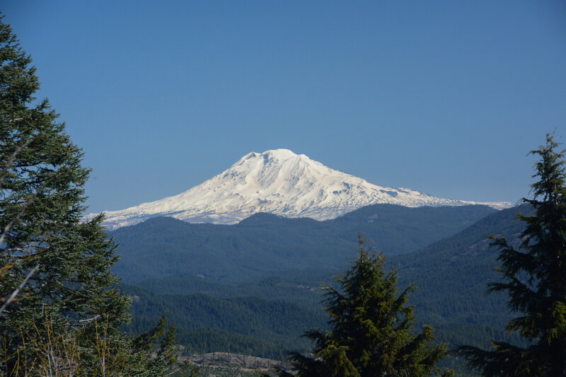 The best views of Adams on the Cook Hill loop are from the powerline clearing.