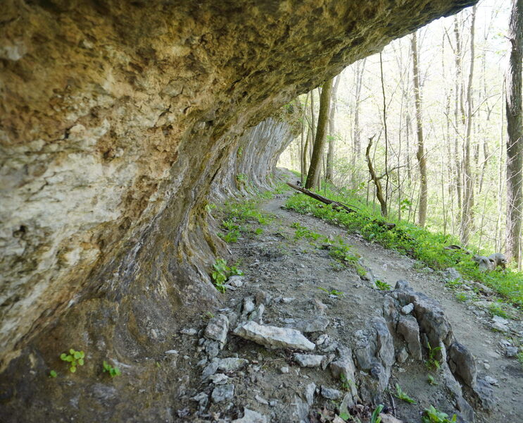 Under the gorge