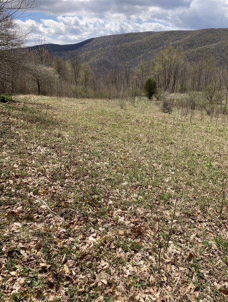 Nice panoramic view from Judy Springs Trail during the spring.