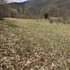 Nice panoramic view from Judy Springs Trail during the spring.