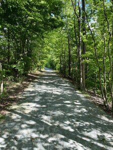 Cathedral walls along the trail.