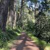 Bear Gulch Trail in early May