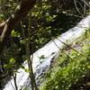 Waterfall as seen from trail.