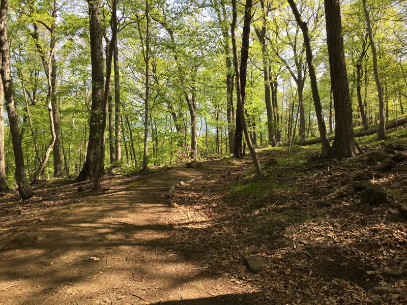 Long Path/Orange Trail junction