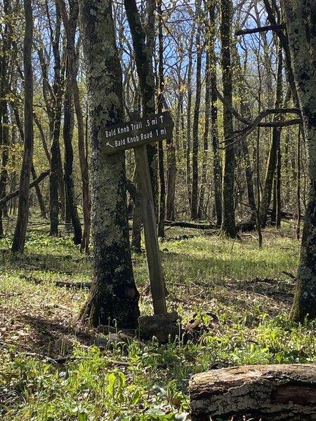 Trail sign at the start of the Bald Knob Trail.