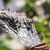 Sunbathing alligator on La Chua Trail.