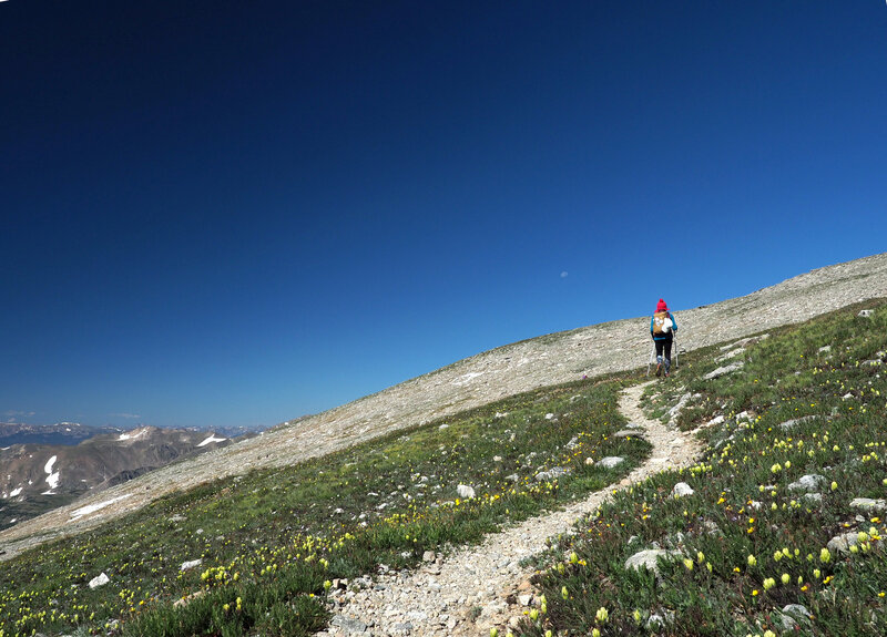 Wonderful wildflowers and other flora abound with fantastic views south.