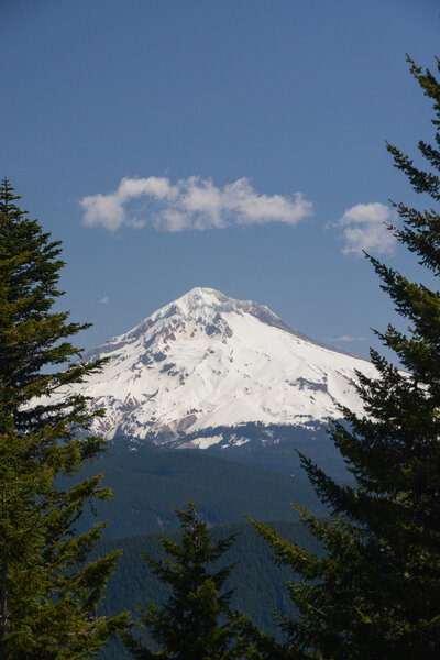 The summit of Huckleberry Mountain is viewless, but Hood can be seen just a few hundred feet farther north.