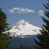 The summit of Huckleberry Mountain is viewless, but Hood can be seen just a few hundred feet farther north.