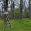 Middle Jungle Trail sign