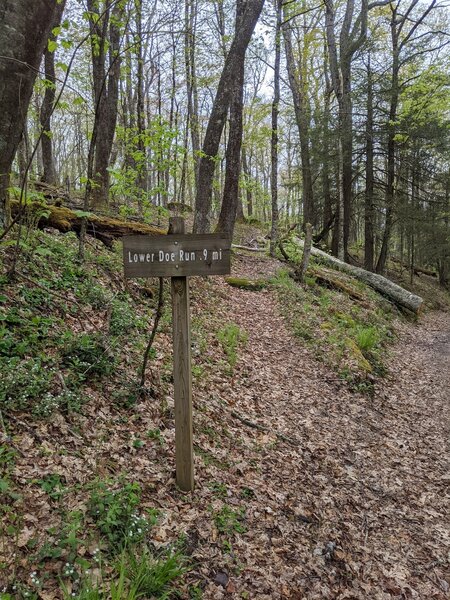 Lower Doe Run Trailhead