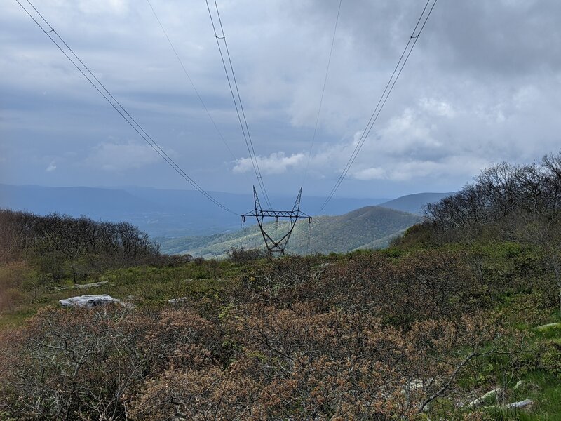 View from Homestead Trail at powerline corridor.