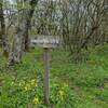 Homestead trail sign