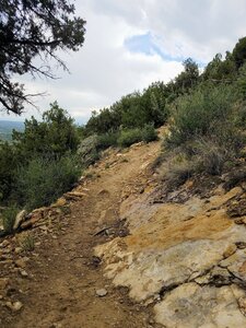 Trail mellows out from here to end.